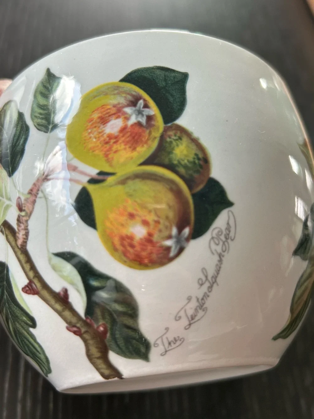 Portmeirion Pomona Trenton Squash Pear Goddess of Fruit Jumbo Tea Cup/Mug